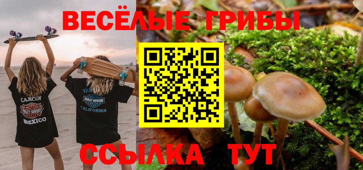 Муравленко  Псилоцибиновые грибы ЛСД  Вход с VPN 